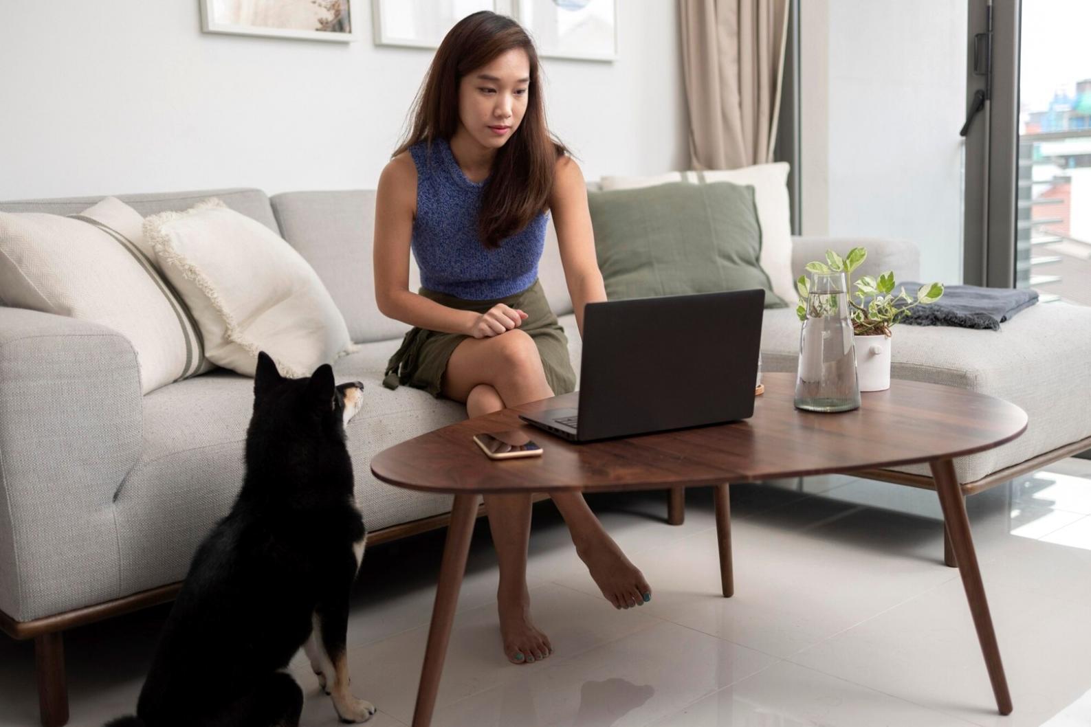 Investment analysis session showing market charts and seasonal data visualization on multiple screens in our Namur office